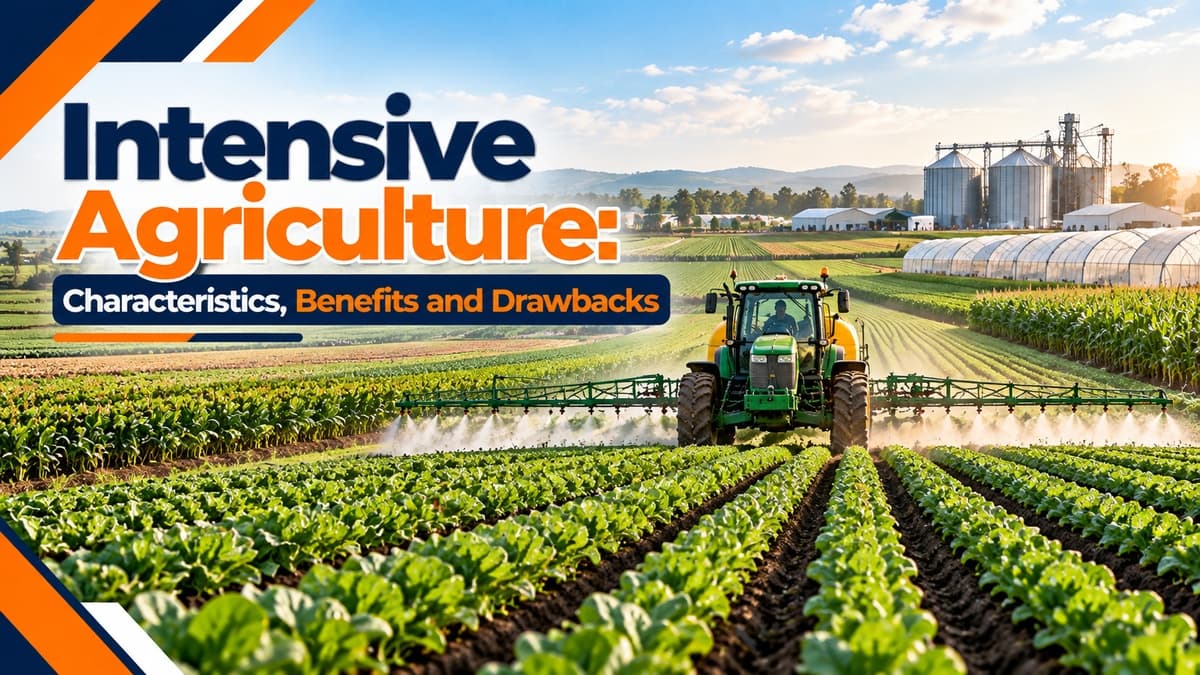 Intensive Agriculture: Characteristics, Benefits And Drawbacks